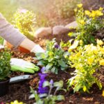 Qué medidas puedo tomar para mantener mi hogar y jardín saludables